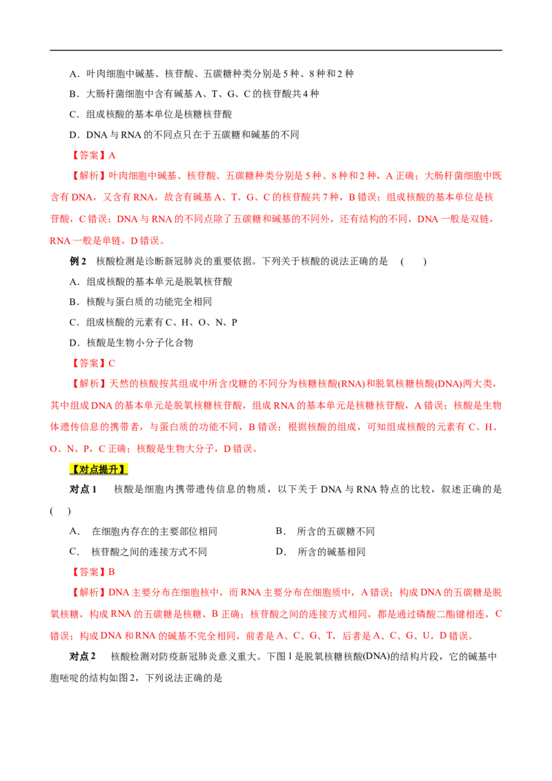 考点42核酸（解析版）_05高考化学_通用版（老高考）复习资料_2023年复习资料_一轮复习_备战2023年高考化学一轮复习考点帮（全国通用）