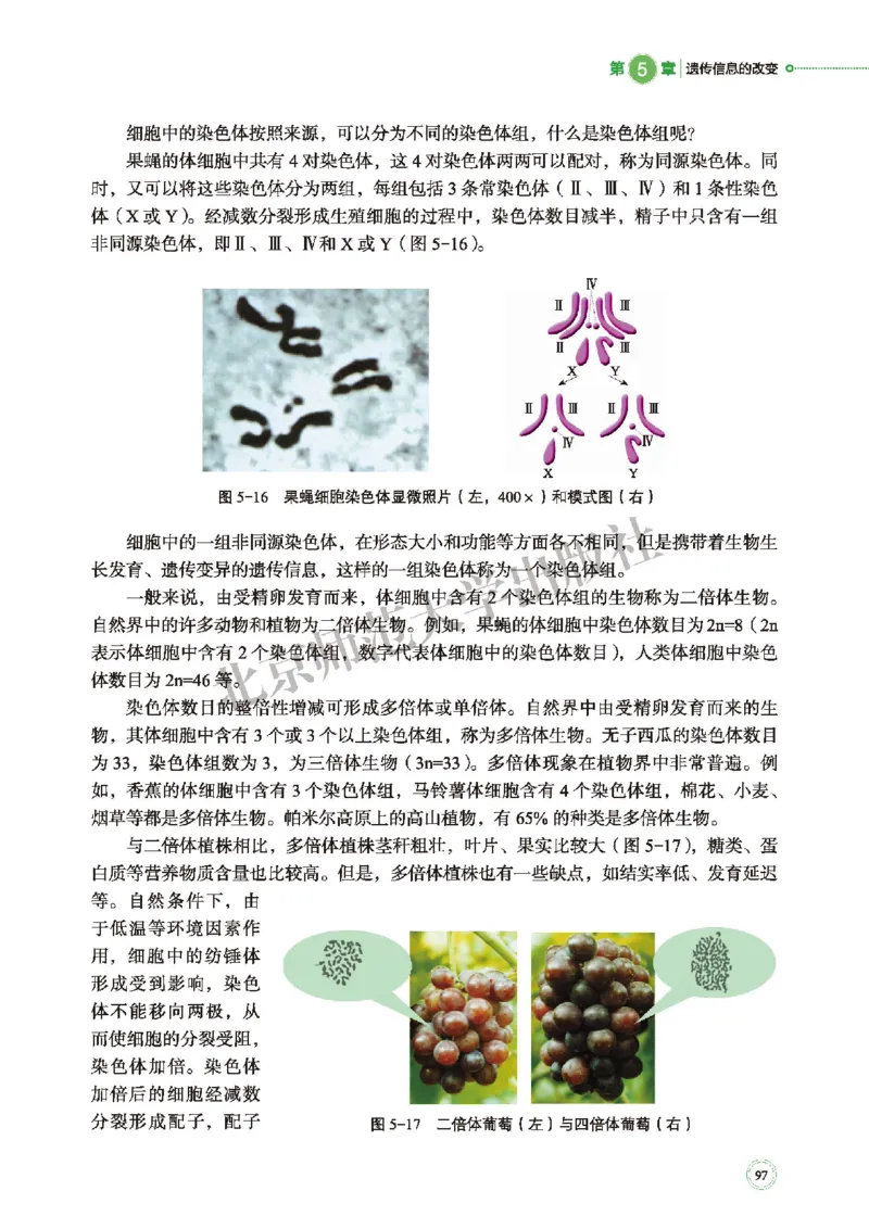 普通高中教科书&middot;生物学必修2遗传与进化(1)_高中全套电子教材及答案。_01高中电子教材全套_生物学_北师大版_高中年级_必修2遗传与进化