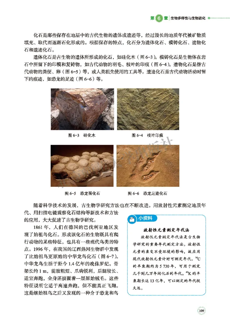 普通高中教科书&middot;生物学必修2遗传与进化(1)_高中全套电子教材及答案。_01高中电子教材全套_生物学_北师大版_高中年级_必修2遗传与进化