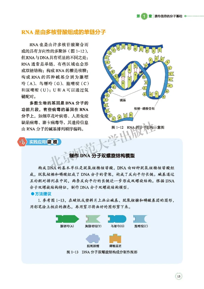 普通高中教科书&middot;生物学必修2遗传与进化(1)_高中全套电子教材及答案。_01高中电子教材全套_生物学_北师大版_高中年级_必修2遗传与进化