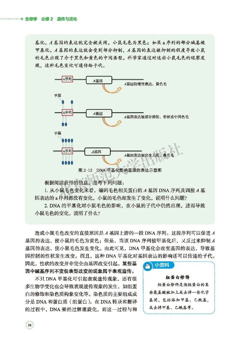普通高中教科书&middot;生物学必修2遗传与进化(1)_高中全套电子教材及答案。_01高中电子教材全套_生物学_北师大版_高中年级_必修2遗传与进化