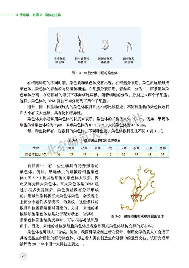 普通高中教科书&middot;生物学必修2遗传与进化(1)_高中全套电子教材及答案。_01高中电子教材全套_生物学_北师大版_高中年级_必修2遗传与进化