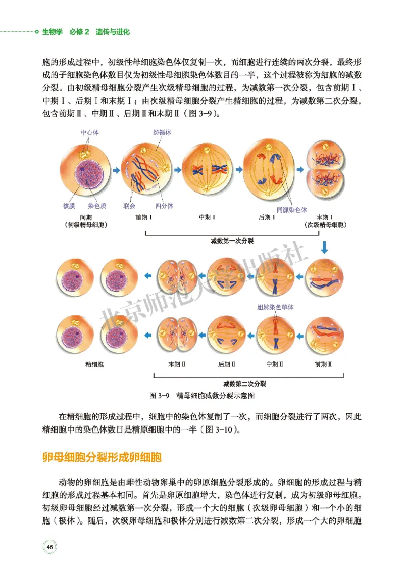 普通高中教科书&middot;生物学必修2遗传与进化(1)_高中全套电子教材及答案。_01高中电子教材全套_生物学_北师大版_高中年级_必修2遗传与进化