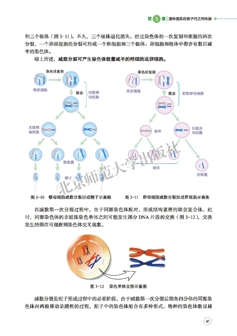 普通高中教科书&middot;生物学必修2遗传与进化(1)_高中全套电子教材及答案。_01高中电子教材全套_生物学_北师大版_高中年级_必修2遗传与进化