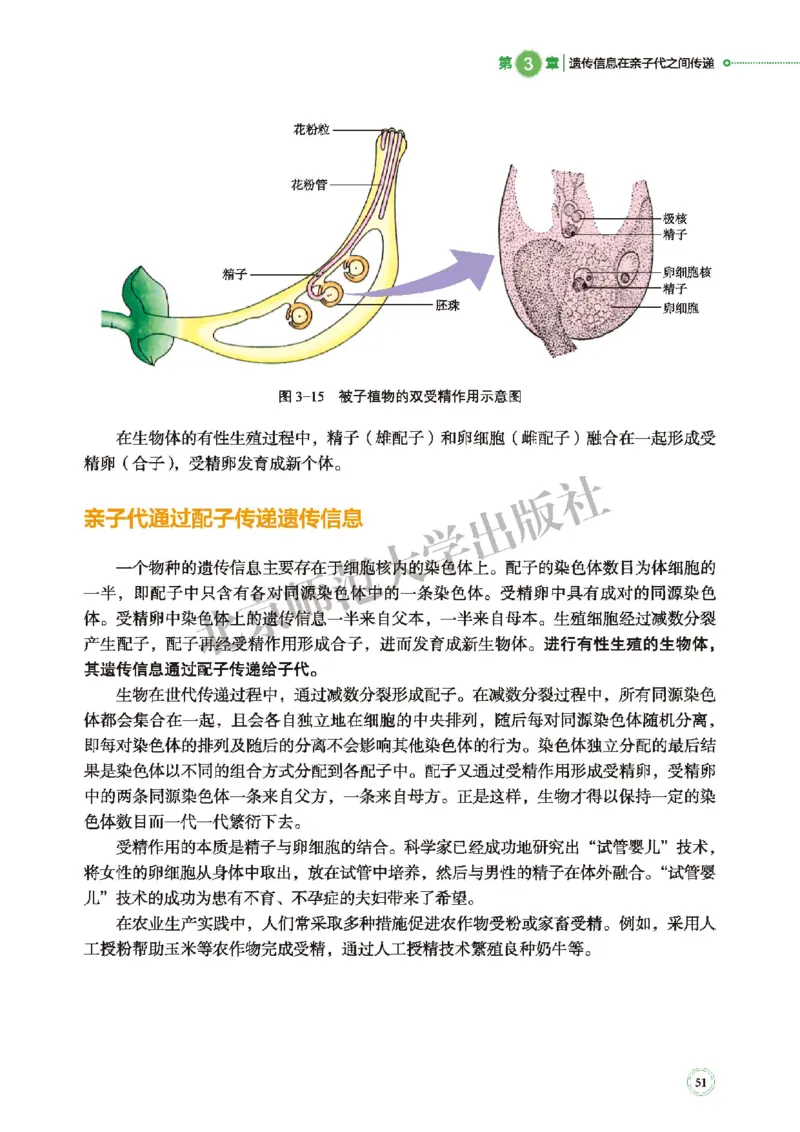 普通高中教科书&middot;生物学必修2遗传与进化(1)_高中全套电子教材及答案。_01高中电子教材全套_生物学_北师大版_高中年级_必修2遗传与进化