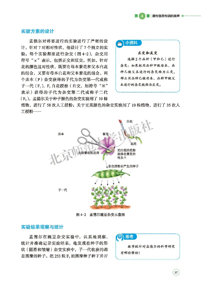 普通高中教科书&middot;生物学必修2遗传与进化(1)_高中全套电子教材及答案。_01高中电子教材全套_生物学_北师大版_高中年级_必修2遗传与进化