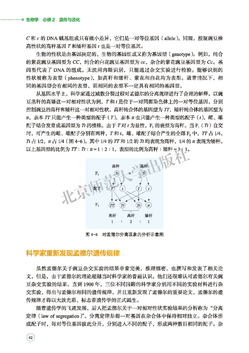 普通高中教科书&middot;生物学必修2遗传与进化(1)_高中全套电子教材及答案。_01高中电子教材全套_生物学_北师大版_高中年级_必修2遗传与进化