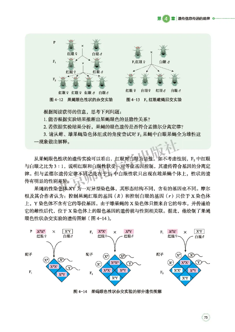 普通高中教科书&middot;生物学必修2遗传与进化(1)_高中全套电子教材及答案。_01高中电子教材全套_生物学_北师大版_高中年级_必修2遗传与进化