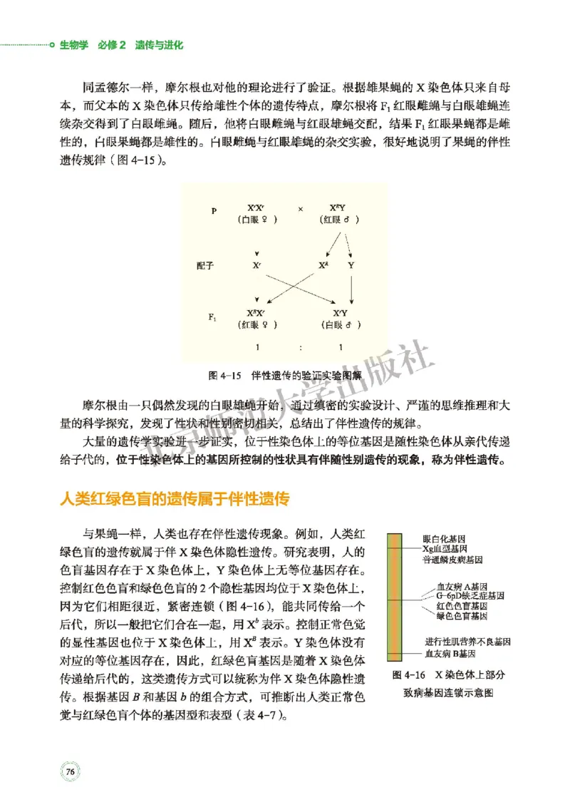 普通高中教科书&middot;生物学必修2遗传与进化(1)_高中全套电子教材及答案。_01高中电子教材全套_生物学_北师大版_高中年级_必修2遗传与进化