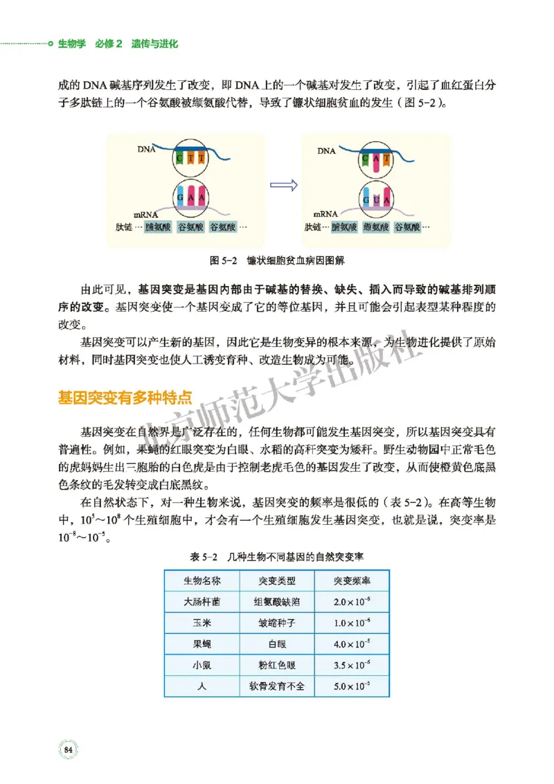 普通高中教科书&middot;生物学必修2遗传与进化(1)_高中全套电子教材及答案。_01高中电子教材全套_生物学_北师大版_高中年级_必修2遗传与进化