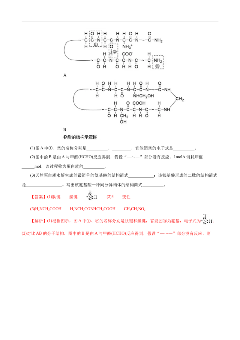 考点41蛋白质（解析版）_05高考化学_通用版（老高考）复习资料_2023年复习资料_一轮复习_备战2023年高考化学一轮复习考点帮（全国通用）