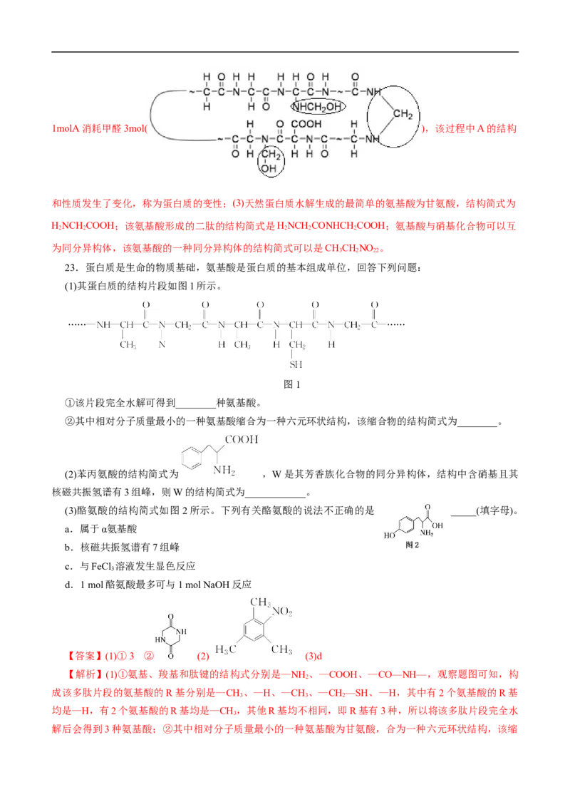 考点41蛋白质（解析版）_05高考化学_通用版（老高考）复习资料_2023年复习资料_一轮复习_备战2023年高考化学一轮复习考点帮（全国通用）