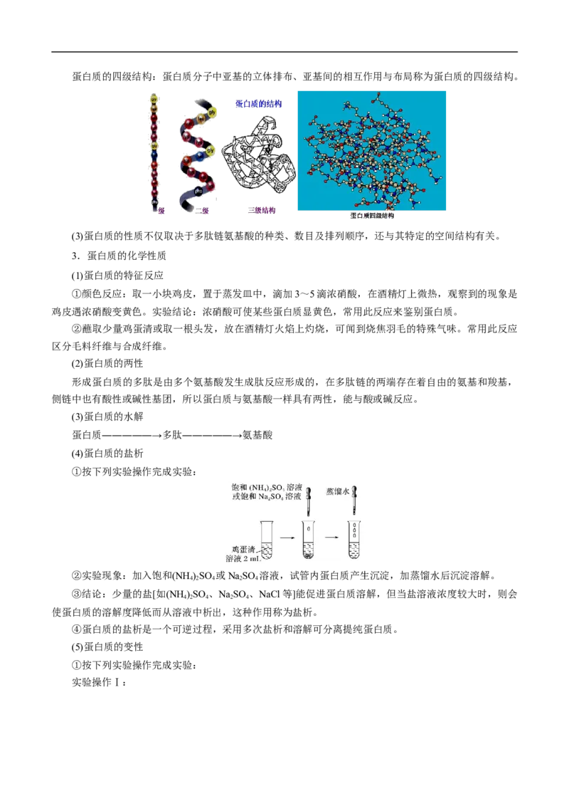 考点41蛋白质（解析版）_05高考化学_通用版（老高考）复习资料_2023年复习资料_一轮复习_备战2023年高考化学一轮复习考点帮（全国通用）