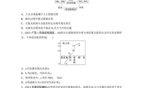 第五章　第24练　氮及其化合物的转化关系_05高考化学_2025年新高考资料_一轮复习_2025大一轮复习讲义+课件（完结）_2025大一轮复习讲义化学学生用书Word版文档全书_2025一轮复习74练