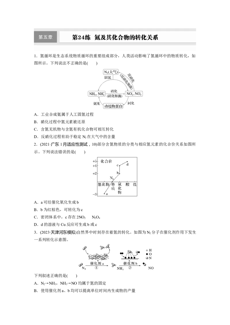 第五章　第24练　氮及其化合物的转化关系_05高考化学_2025年新高考资料_一轮复习_2025大一轮复习讲义+课件（完结）_2025大一轮复习讲义化学学生用书Word版文档全书_2025一轮复习74练