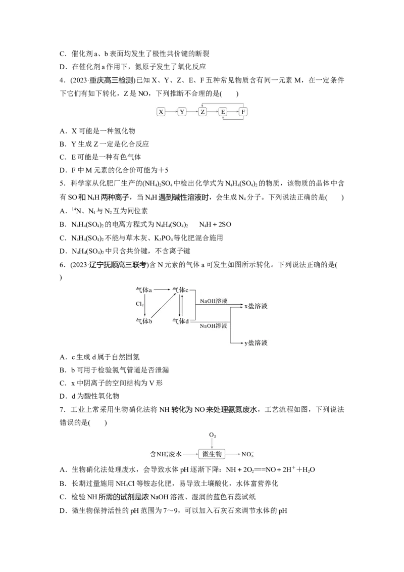 第五章　第24练　氮及其化合物的转化关系_05高考化学_2025年新高考资料_一轮复习_2025大一轮复习讲义+课件（完结）_2025大一轮复习讲义化学学生用书Word版文档全书_2025一轮复习74练