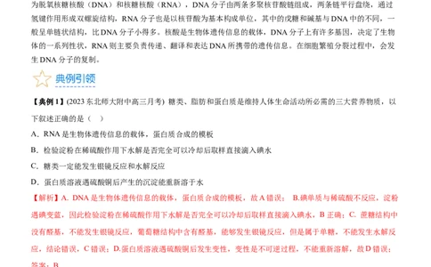 考点4生物大分子和合成高分子（核心考点精讲精练）-备战2024年高考化学一轮复习考点帮（新高考专用）（解析版）_05高考化学_新高考复习资料_2024年新高考资料_一轮复习资料