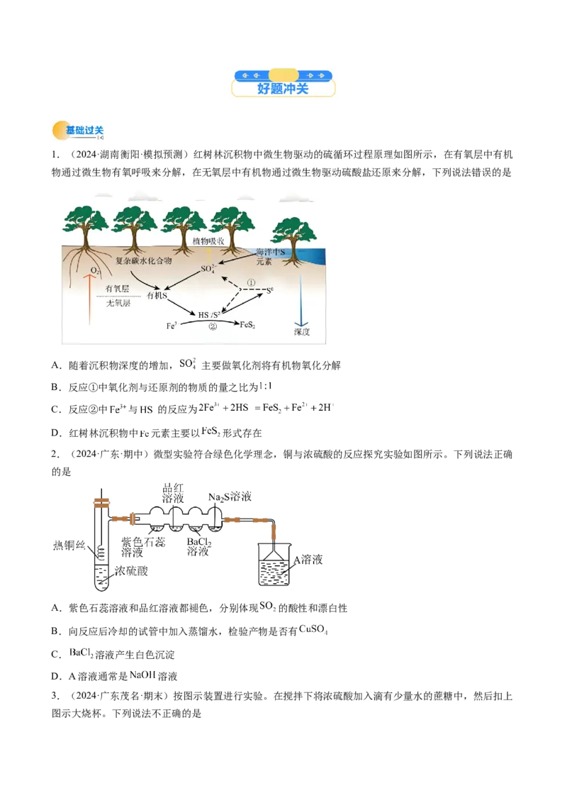 考点14硫及其化合物（核心考点精讲精练）-备战2025年高考化学一轮复习考点帮（新高考通用）（原卷版）_05高考化学_2025年新高考资料_一轮复习_备战2025年高考化学一轮复习考点帮