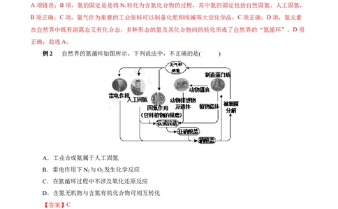 考点11氮及其化合物(核心考点精讲)_05高考化学_通用版（老高考）复习资料_2024年复习资料_完备战2024年高考化学一轮复习考点帮（全国通用）