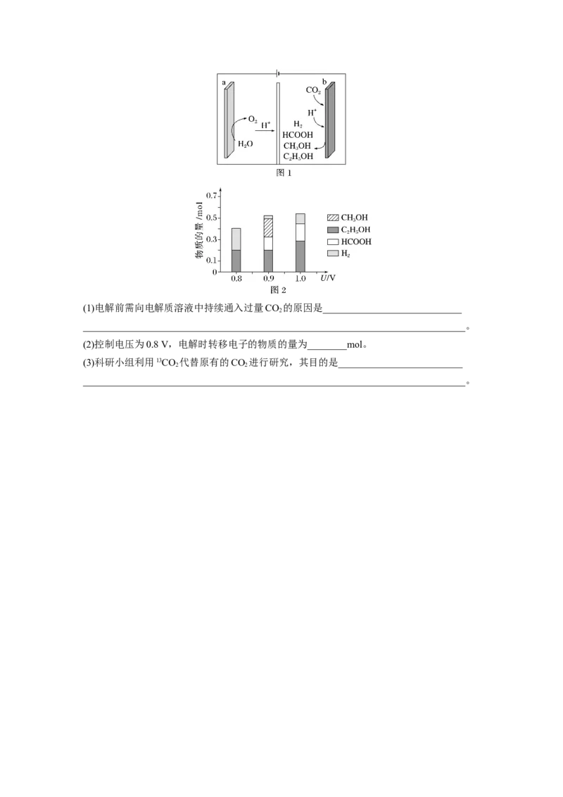 第十章　第43练　电解原理应用新拓展_05高考化学_2025年新高考资料_一轮复习_2025大一轮复习讲义+课件（完结）_2025大一轮复习讲义化学学生用书Word版文档全书_2025一轮复习74练