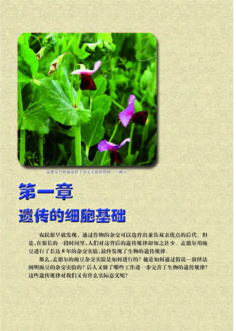 普通高中教科书&middot;生物学必修2遗传与进化(1)_高中全套电子教材及答案。_01高中电子教材全套_生物学_苏教版_高中年级_必修2遗传与进化