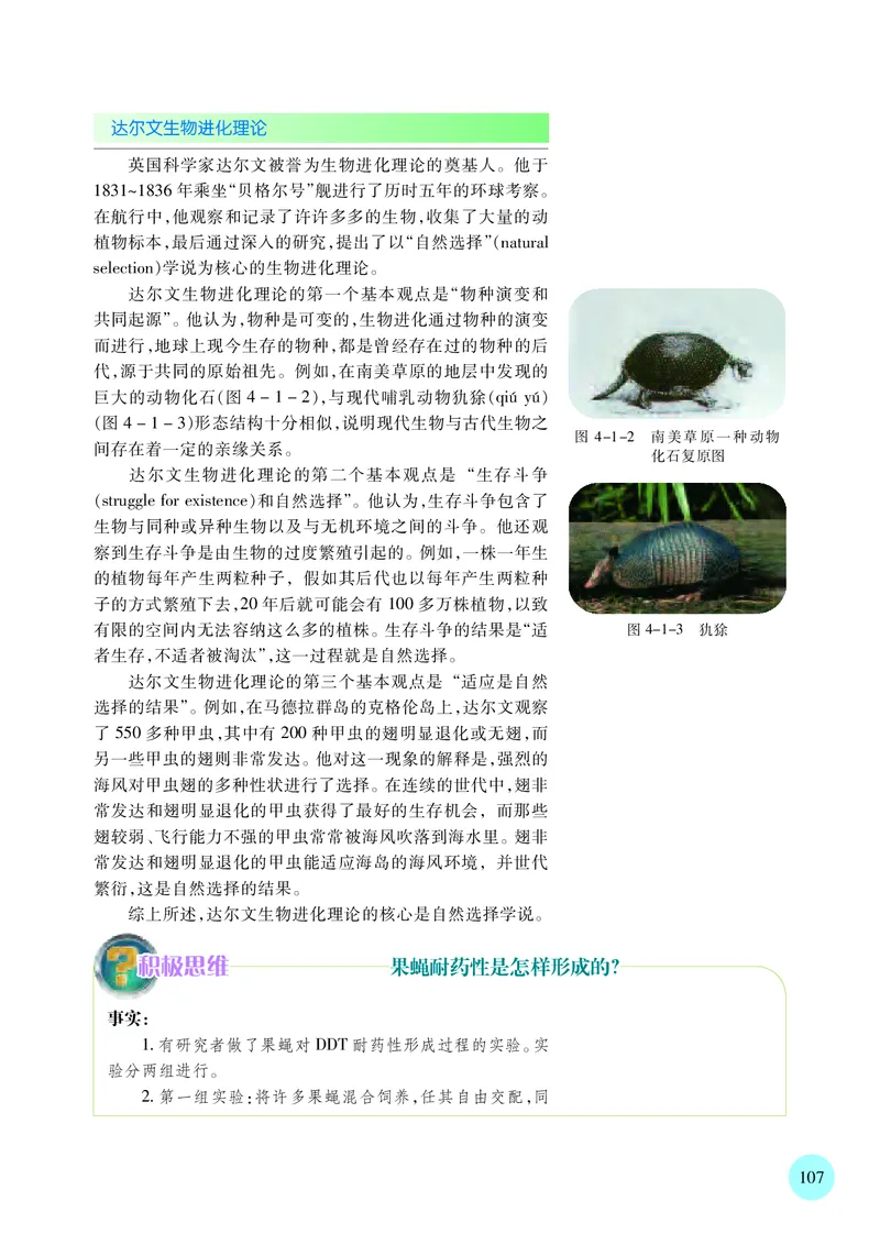 普通高中教科书&middot;生物学必修2遗传与进化(1)_高中全套电子教材及答案。_01高中电子教材全套_生物学_苏教版_高中年级_必修2遗传与进化