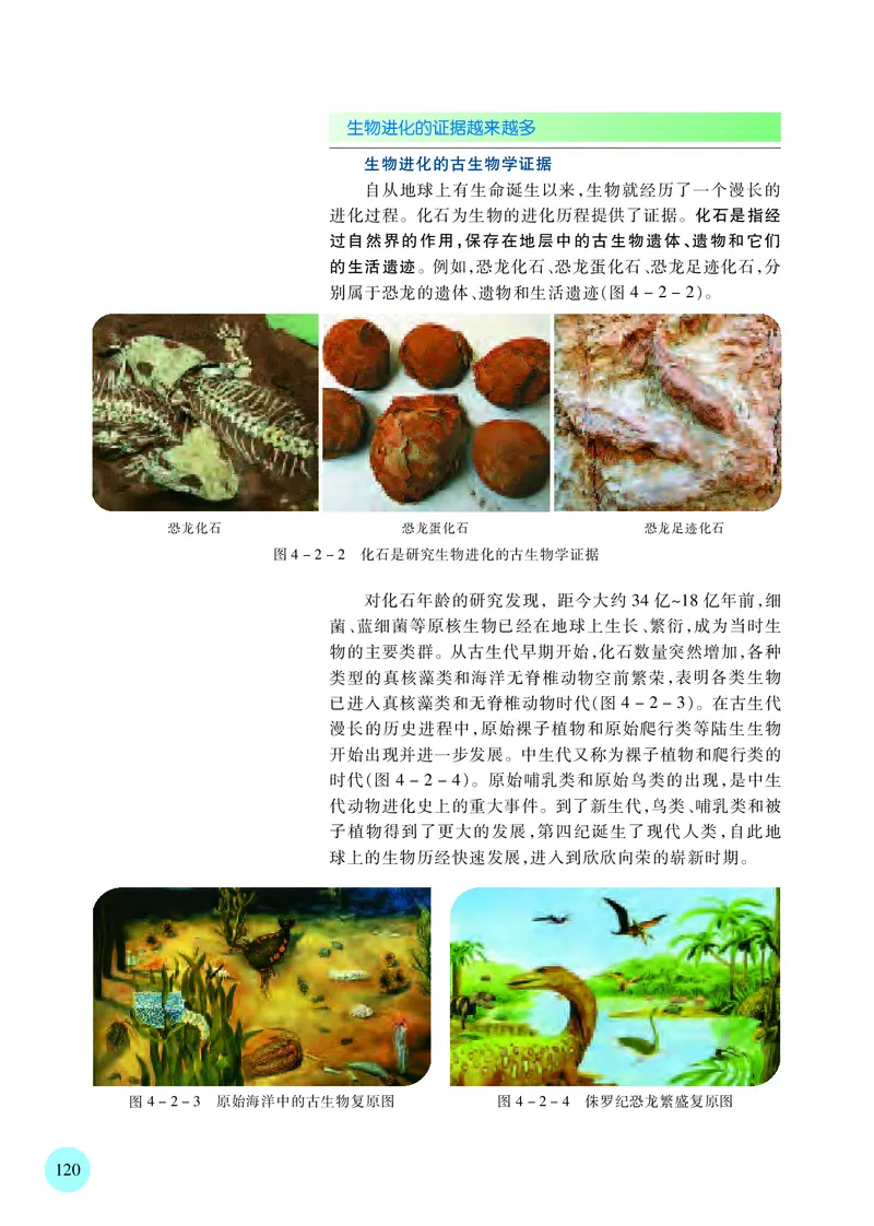 普通高中教科书&middot;生物学必修2遗传与进化(1)_高中全套电子教材及答案。_01高中电子教材全套_生物学_苏教版_高中年级_必修2遗传与进化