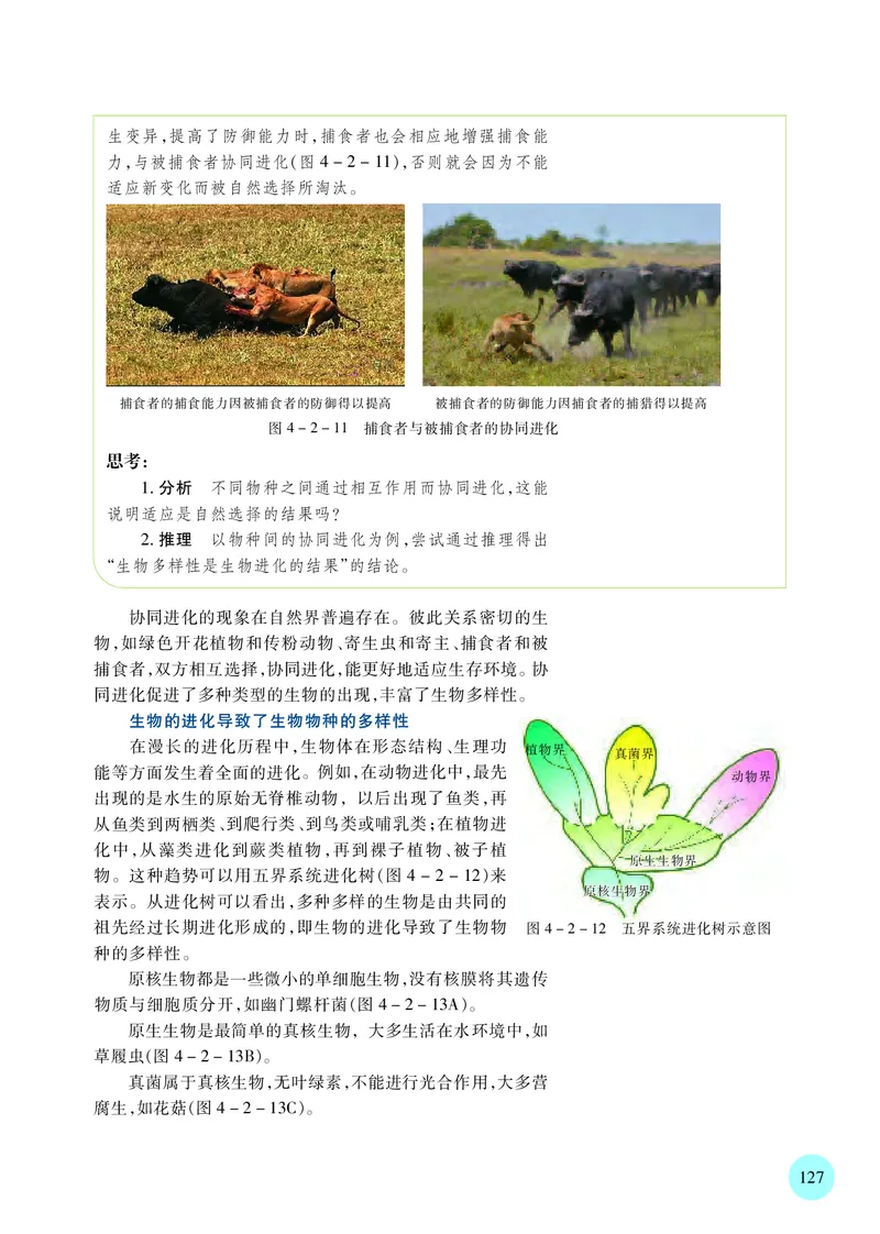 普通高中教科书&middot;生物学必修2遗传与进化(1)_高中全套电子教材及答案。_01高中电子教材全套_生物学_苏教版_高中年级_必修2遗传与进化