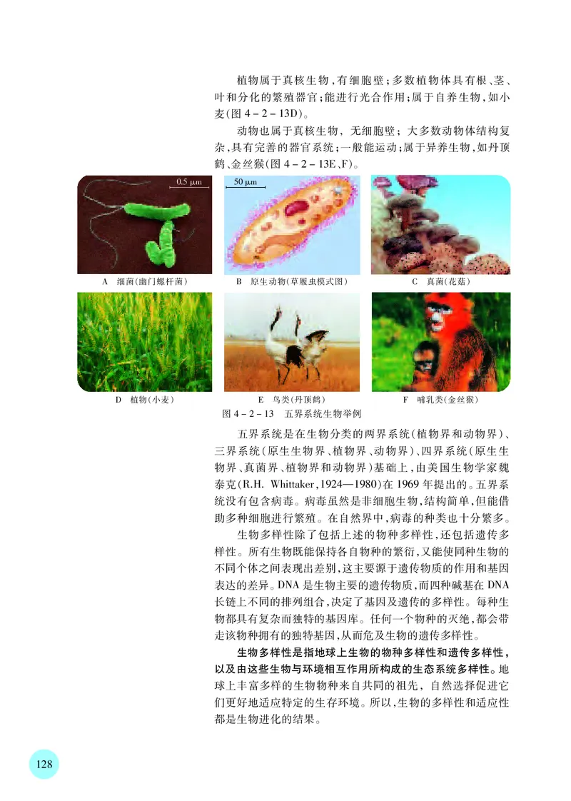 普通高中教科书&middot;生物学必修2遗传与进化(1)_高中全套电子教材及答案。_01高中电子教材全套_生物学_苏教版_高中年级_必修2遗传与进化