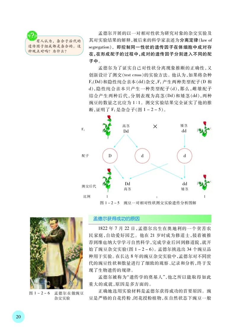普通高中教科书&middot;生物学必修2遗传与进化(1)_高中全套电子教材及答案。_01高中电子教材全套_生物学_苏教版_高中年级_必修2遗传与进化