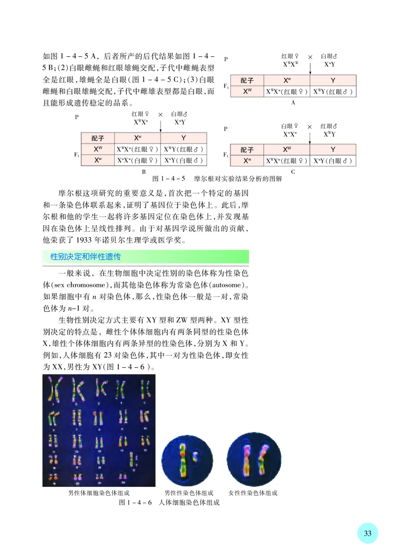 普通高中教科书&middot;生物学必修2遗传与进化(1)_高中全套电子教材及答案。_01高中电子教材全套_生物学_苏教版_高中年级_必修2遗传与进化