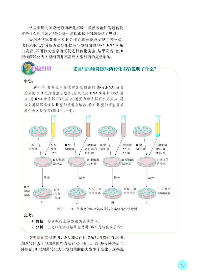 普通高中教科书&middot;生物学必修2遗传与进化(1)_高中全套电子教材及答案。_01高中电子教材全套_生物学_苏教版_高中年级_必修2遗传与进化