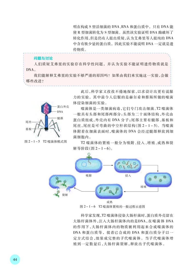 普通高中教科书&middot;生物学必修2遗传与进化(1)_高中全套电子教材及答案。_01高中电子教材全套_生物学_苏教版_高中年级_必修2遗传与进化