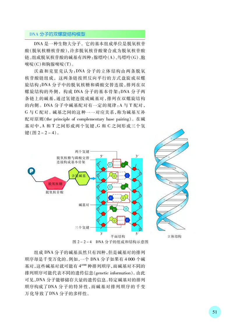 普通高中教科书&middot;生物学必修2遗传与进化(1)_高中全套电子教材及答案。_01高中电子教材全套_生物学_苏教版_高中年级_必修2遗传与进化