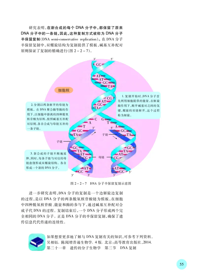 普通高中教科书&middot;生物学必修2遗传与进化(1)_高中全套电子教材及答案。_01高中电子教材全套_生物学_苏教版_高中年级_必修2遗传与进化