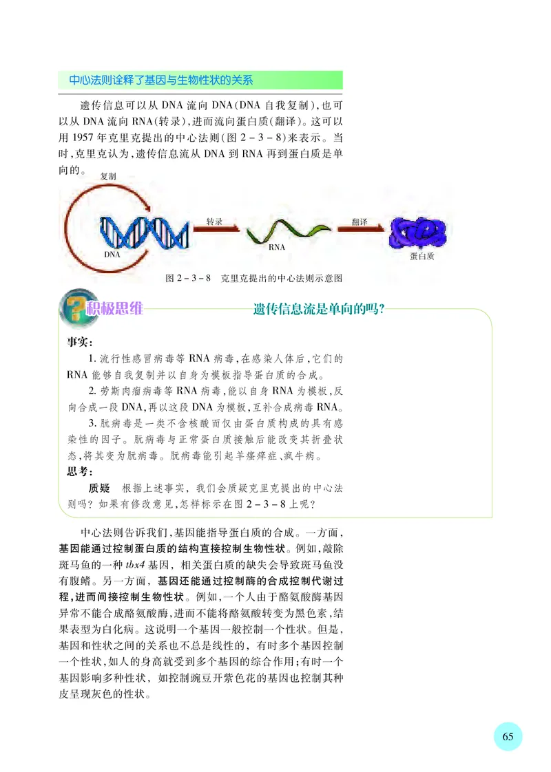 普通高中教科书&middot;生物学必修2遗传与进化(1)_高中全套电子教材及答案。_01高中电子教材全套_生物学_苏教版_高中年级_必修2遗传与进化