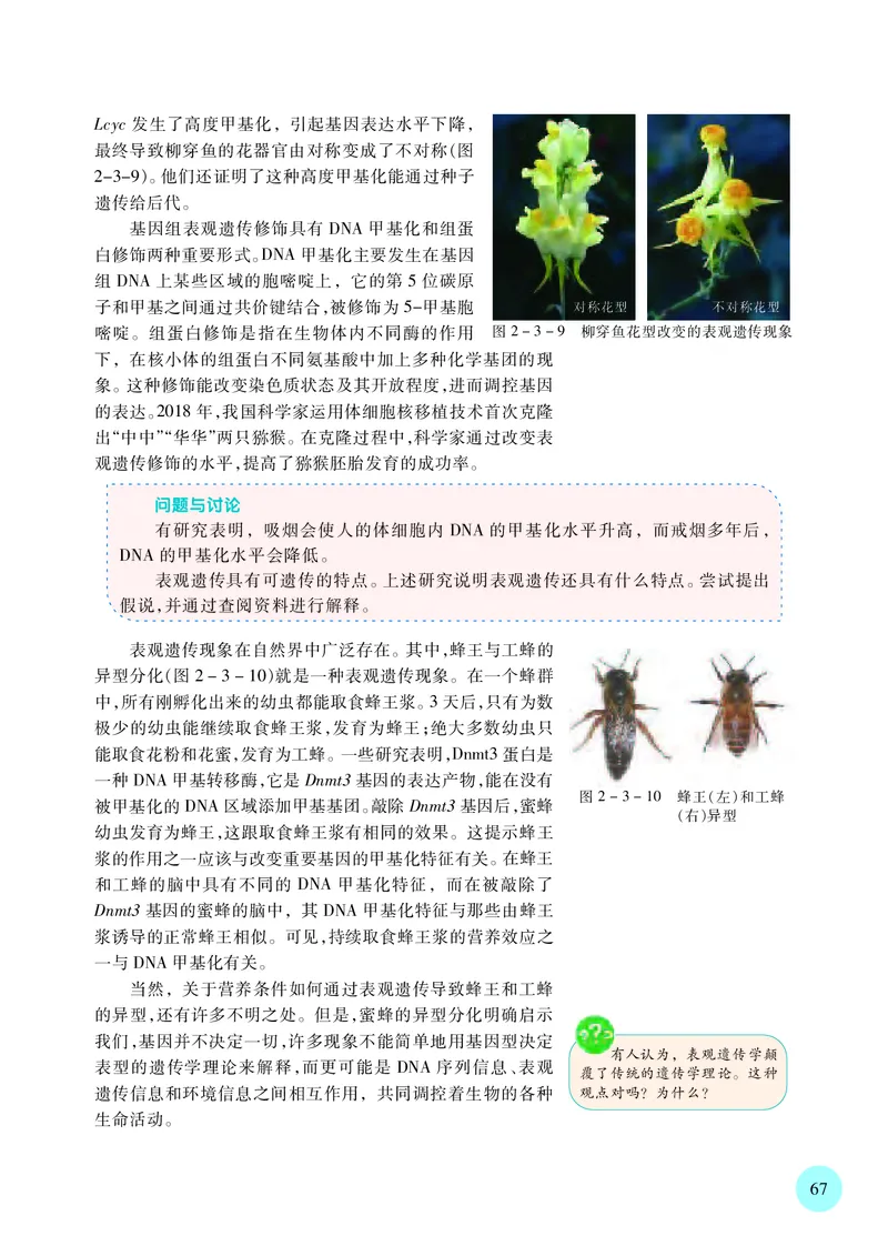普通高中教科书&middot;生物学必修2遗传与进化(1)_高中全套电子教材及答案。_01高中电子教材全套_生物学_苏教版_高中年级_必修2遗传与进化