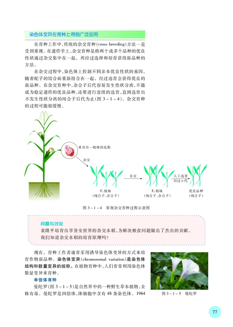 普通高中教科书&middot;生物学必修2遗传与进化(1)_高中全套电子教材及答案。_01高中电子教材全套_生物学_苏教版_高中年级_必修2遗传与进化