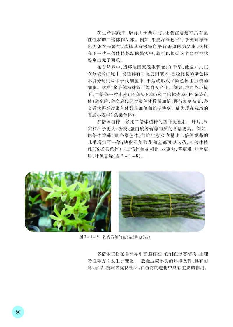 普通高中教科书&middot;生物学必修2遗传与进化(1)_高中全套电子教材及答案。_01高中电子教材全套_生物学_苏教版_高中年级_必修2遗传与进化