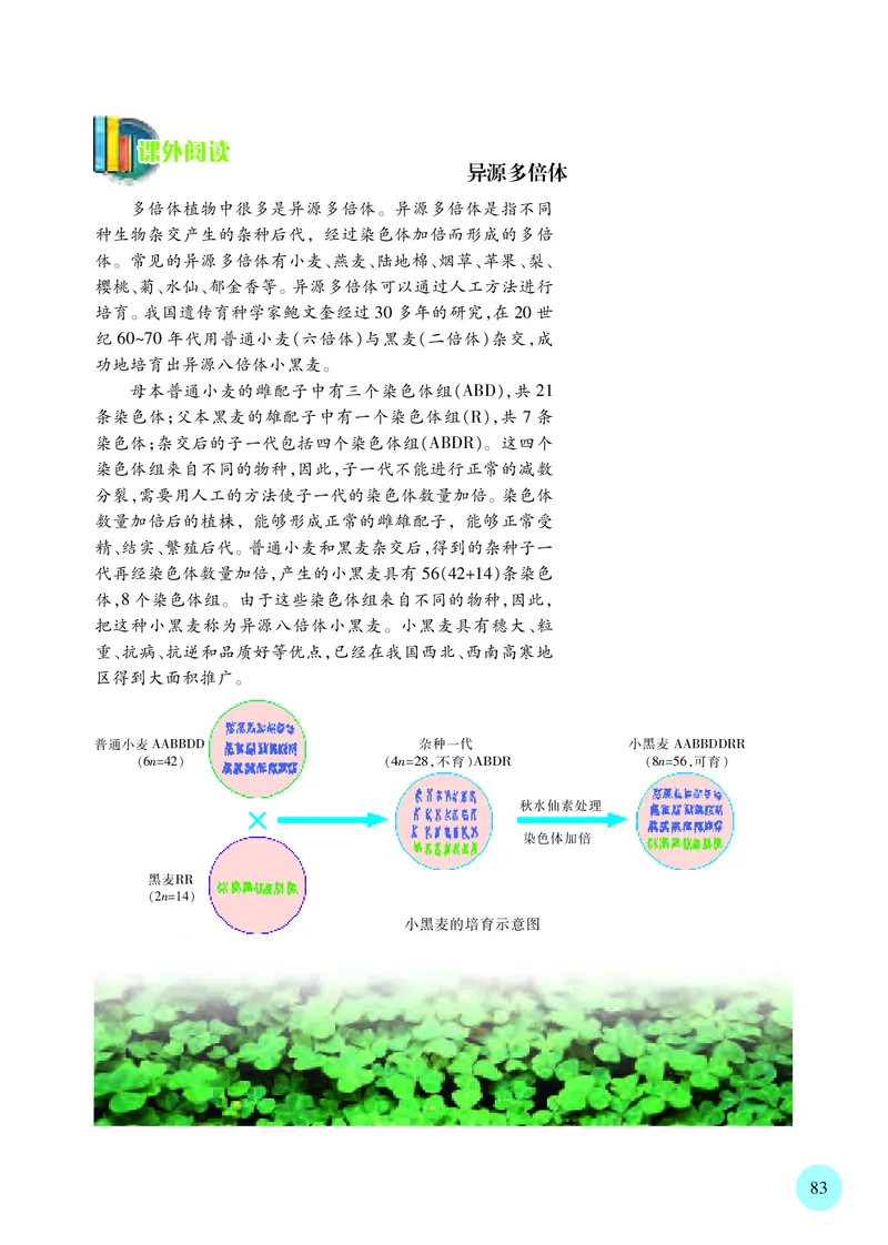 普通高中教科书&middot;生物学必修2遗传与进化(1)_高中全套电子教材及答案。_01高中电子教材全套_生物学_苏教版_高中年级_必修2遗传与进化