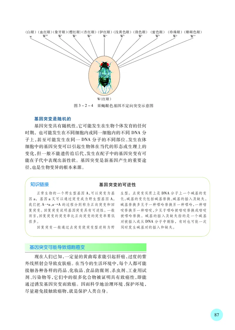 普通高中教科书&middot;生物学必修2遗传与进化(1)_高中全套电子教材及答案。_01高中电子教材全套_生物学_苏教版_高中年级_必修2遗传与进化