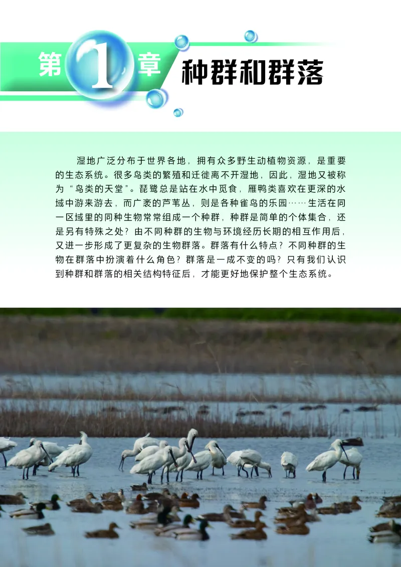 普通高中教科书&middot;生物学选择性必修2生物与环境(1)_高中全套电子教材及答案。_01高中电子教材全套_生物学_沪科技版_高中年级_选择性必修2生物与环境