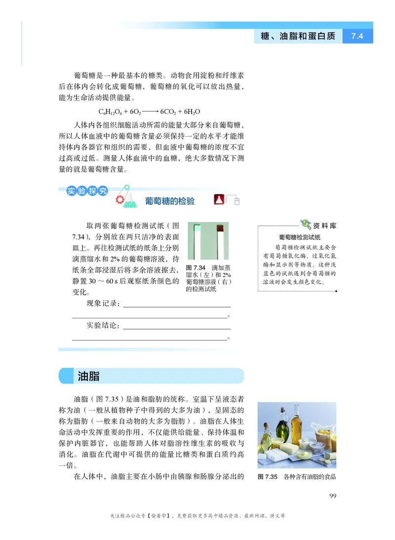 普通高中教科书&middot;化学必修第二册(1)_高中全套电子教材及答案。_01高中电子教材全套_化学_沪科技版_高中年级_必修第二册