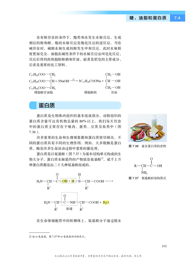 普通高中教科书&middot;化学必修第二册(1)_高中全套电子教材及答案。_01高中电子教材全套_化学_沪科技版_高中年级_必修第二册
