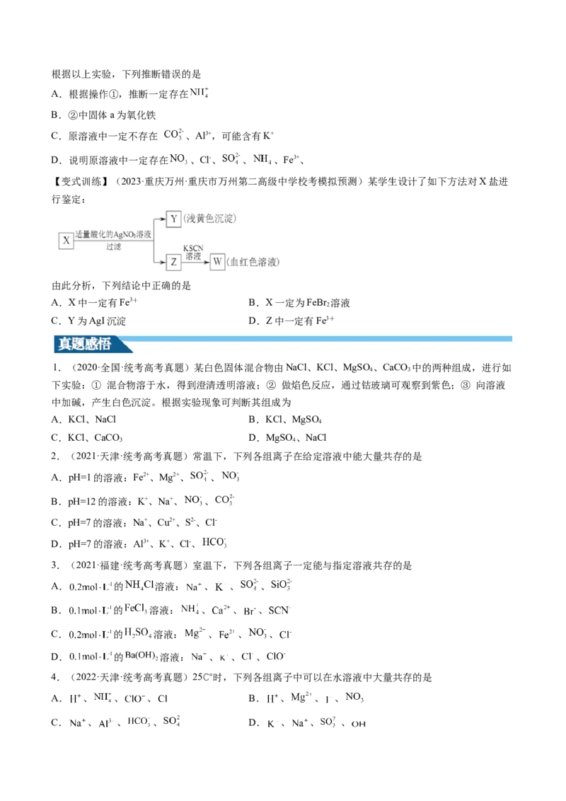 第06讲离子共存、离子的检验与推断（讲义）（原卷版）_05高考化学_2024年新高考资料_1.2024一轮复习_2024年高考化学一轮复习讲练测（新教材新高考）