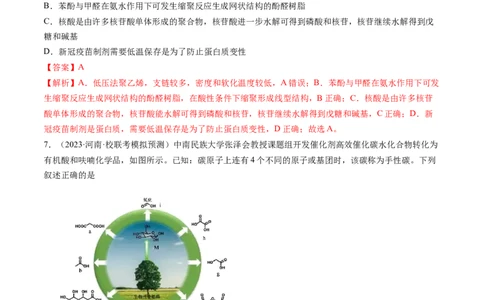 第十章有机化学基础（测试）（解析版）_05高考化学_新高考复习资料_2024年新高考资料_一轮复习资料_完2024年高考化学一轮复习讲练测(课件+讲义+练习)（新高考）_章节测试