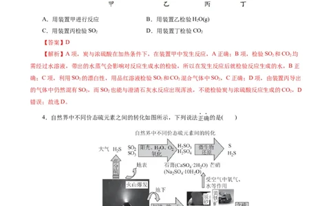 考点10硫及其化合物(好题冲关)(解析版)_05高考化学_通用版（老高考）复习资料_2024年复习资料_完备战2024年高考化学一轮复习考点帮（全国通用）