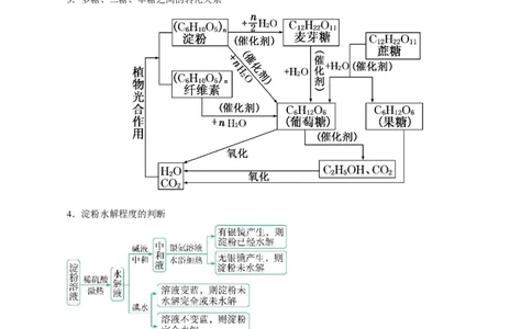 考点37营养物质(核心考点精讲精练)_05高考化学_通用版（老高考）复习资料_2024年复习资料_完备战2024年高考化学一轮复习考点帮（全国通用）_考点37营养物质（核心考点精讲精练）