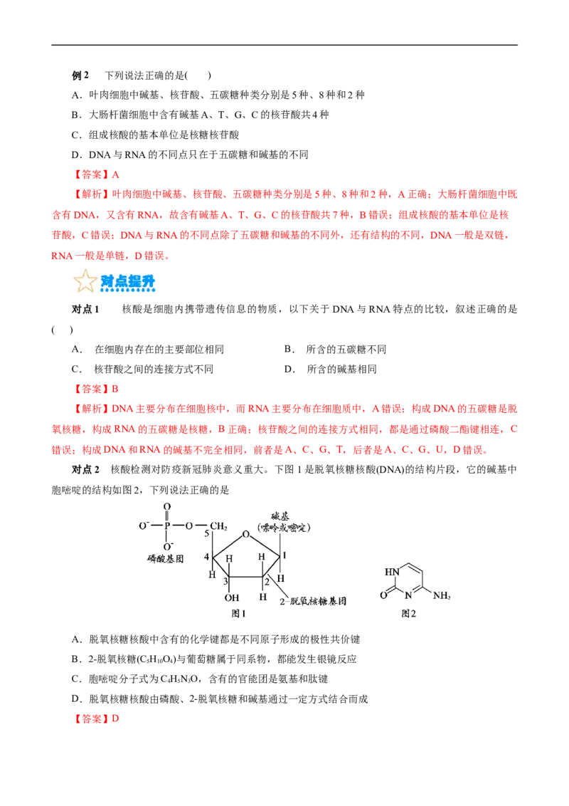 考点37营养物质(核心考点精讲精练)_05高考化学_通用版（老高考）复习资料_2024年复习资料_完备战2024年高考化学一轮复习考点帮（全国通用）_考点37营养物质（核心考点精讲精练）