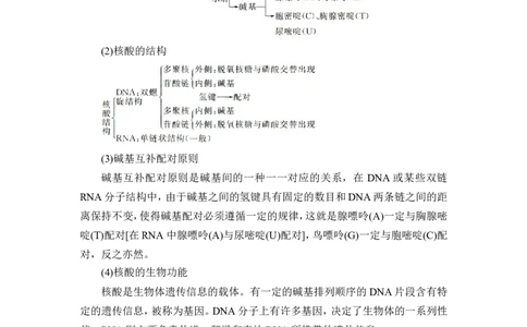 第4讲　生物大分子　合成高分子_05高考化学_通用版（老高考）复习资料_2023年复习资料_一轮复习_2023年高考化学一轮复习讲义+课件（全国版）_2023年高考化学一轮复习讲义（全国版）